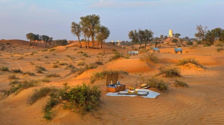 WK20-Oct-food-picnicking